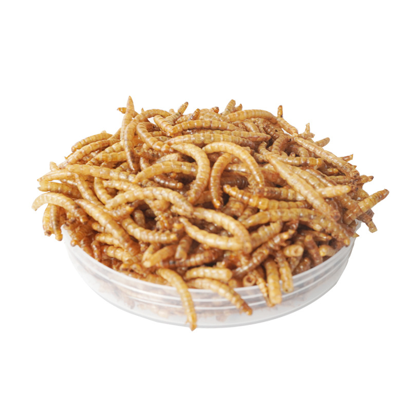 Food Snacks With High Protein - Snack ad Alto Contenuto Proteico per